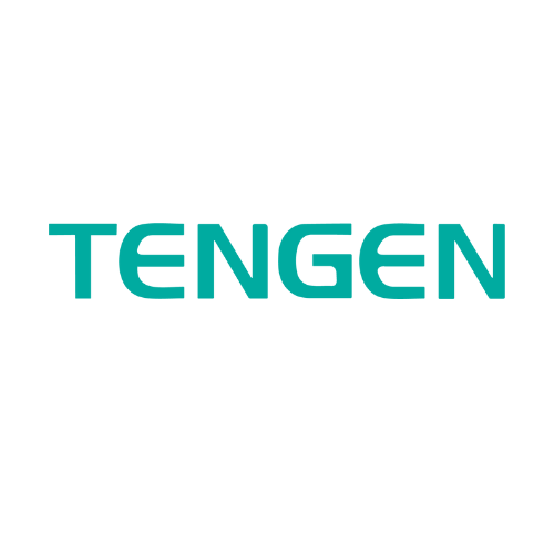 Tengen